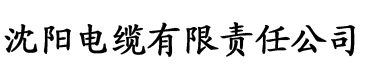 人人爽天天碰天天躁夜夜躁电缆厂logo